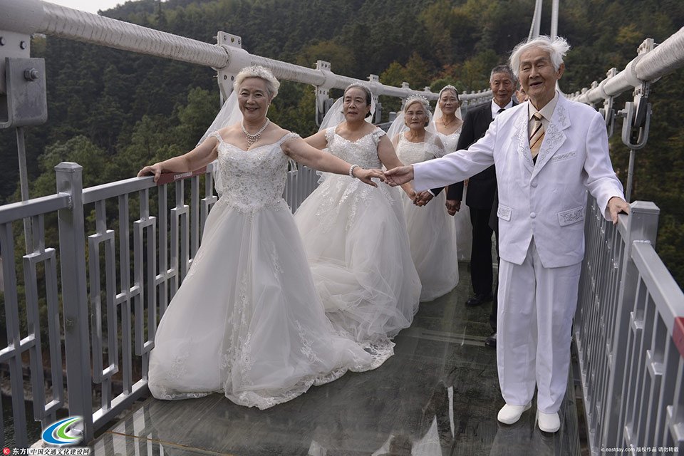 四对老人登高空玻璃桥拍婚纱照庆金婚 1